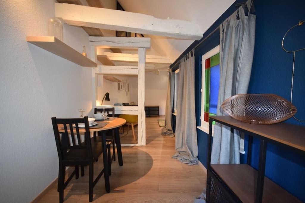 Le Studio Du Quai Des Pecheurs - Charmant Duplex Sur Les Quais Страсбург Экстерьер фото