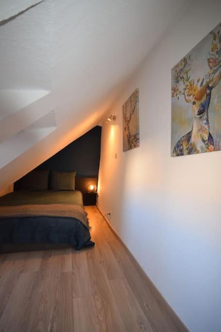 Le Studio Du Quai Des Pecheurs - Charmant Duplex Sur Les Quais Страсбург Экстерьер фото