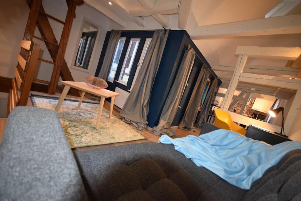 Le Studio Du Quai Des Pecheurs - Charmant Duplex Sur Les Quais Страсбург Экстерьер фото